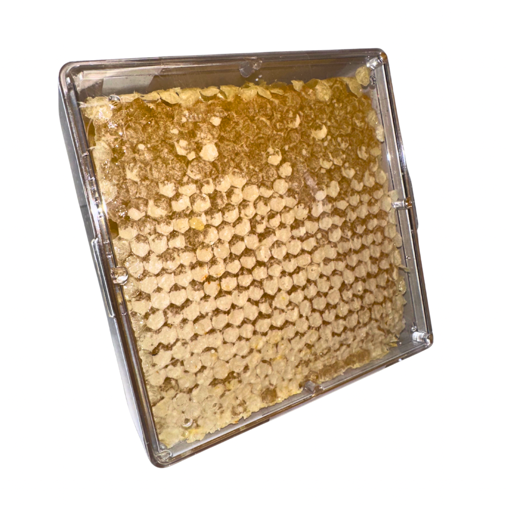 COSMIC CANDY- "Spring" Cut-Comb Honey 15oz.