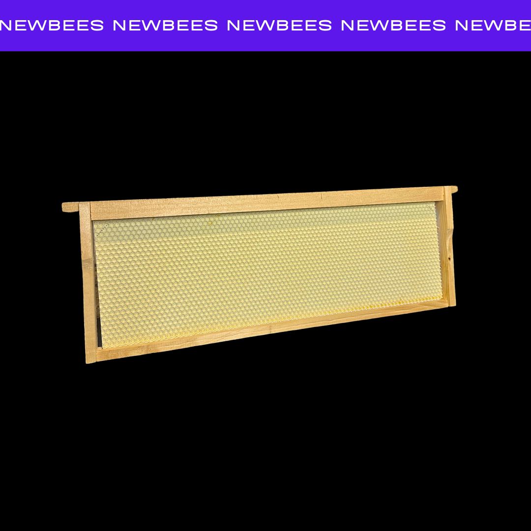 NBS Langstroth Frames