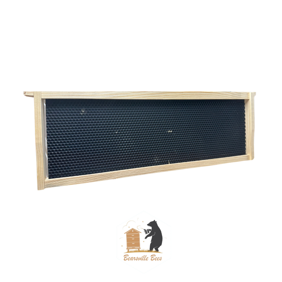 Bearsville Bees - Langstroth Frames