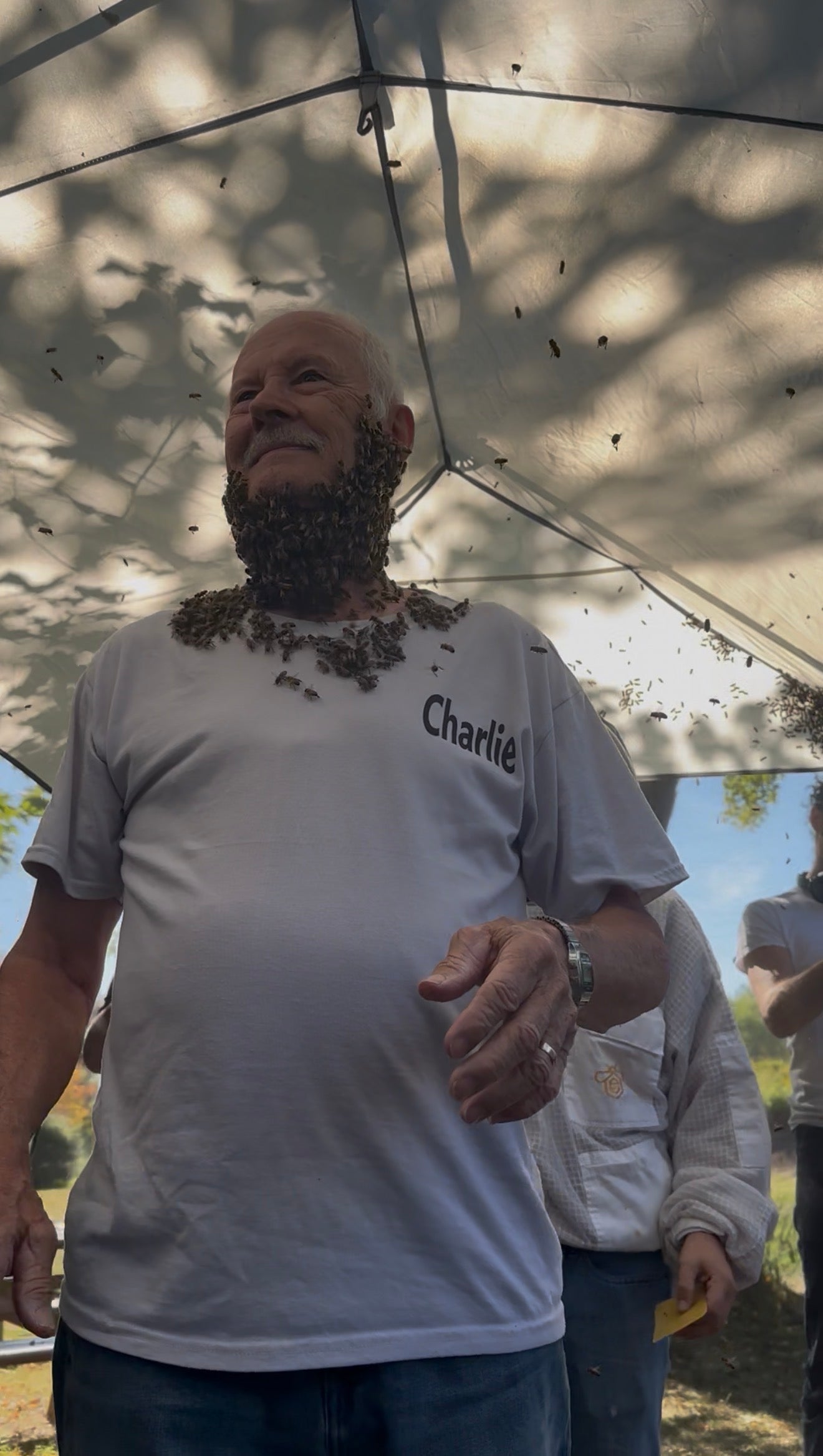 Charlie and the Amazing Beerding Ladies; C&P Apiaries
