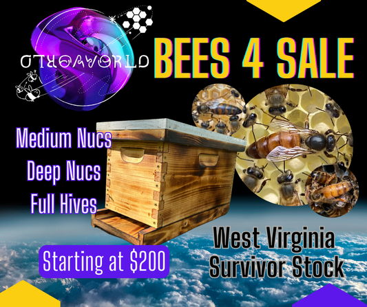 OTHERWORLD Nucleus Hive