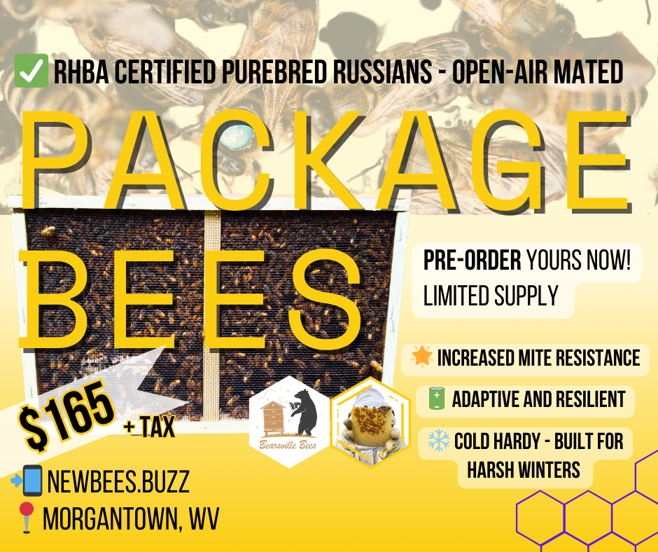 Package Bees (RHBA Purebred Russian)