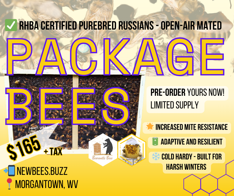Package Bees (RHBA Purebred Russian)