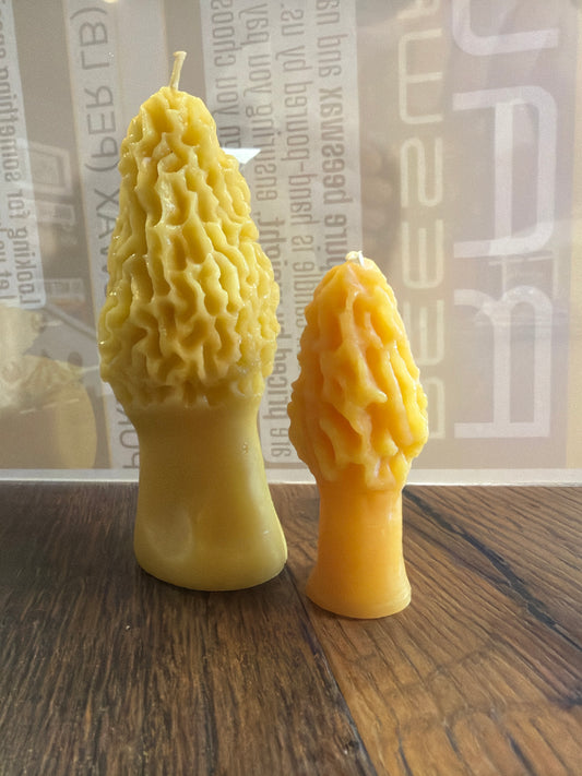MB Pure Beeswax Morel Candle