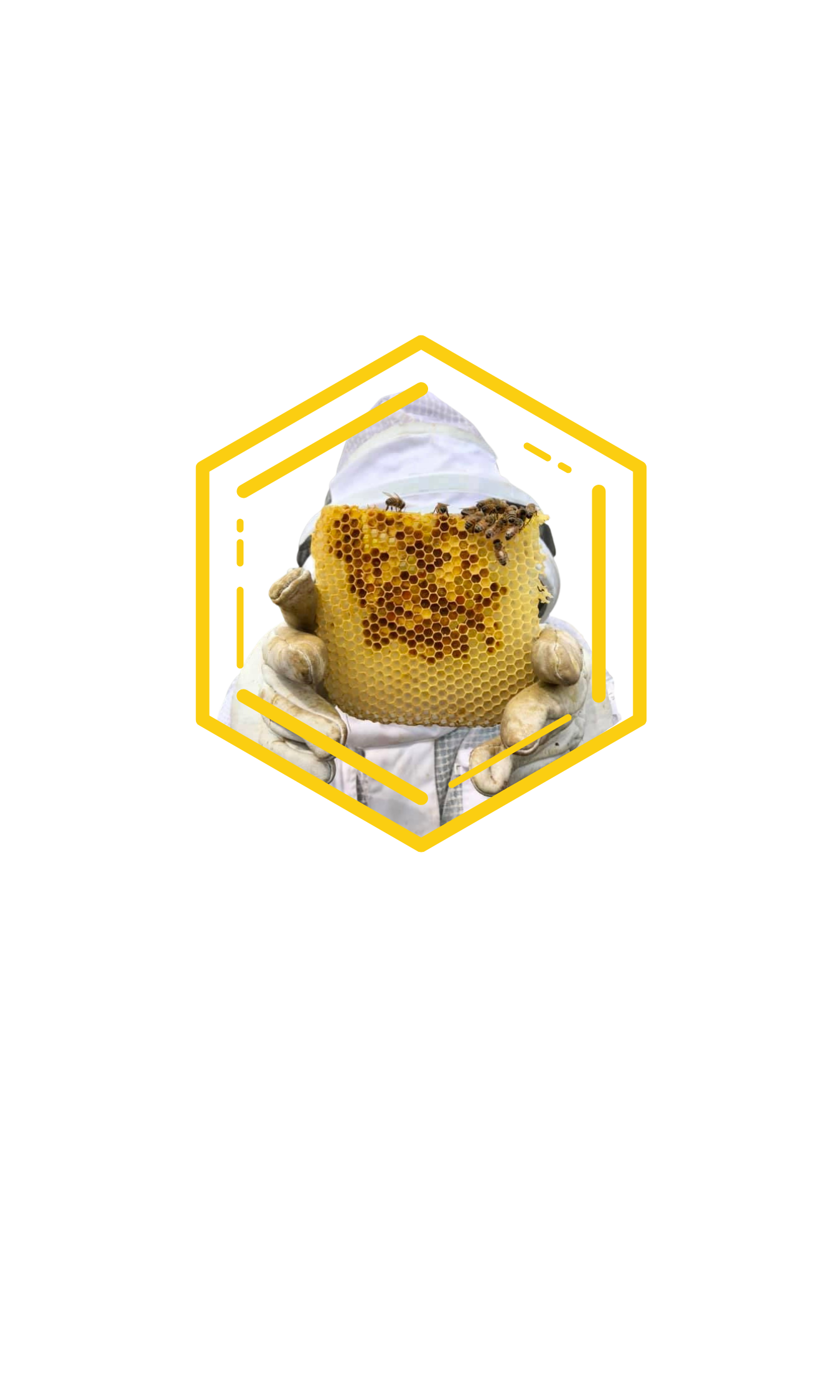 Logo Creation