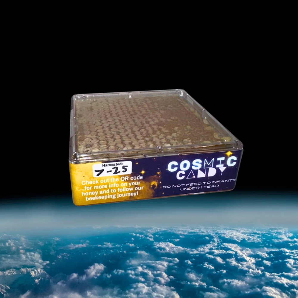 COSMIC CANDY- "Spring" Cut-Comb Honey 15oz.