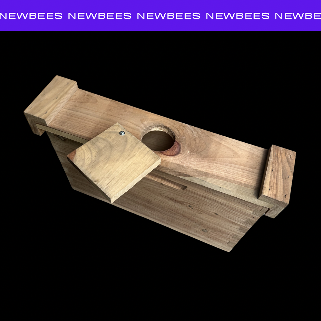 Bearsville Bees 2 Frame Mating Nuc
