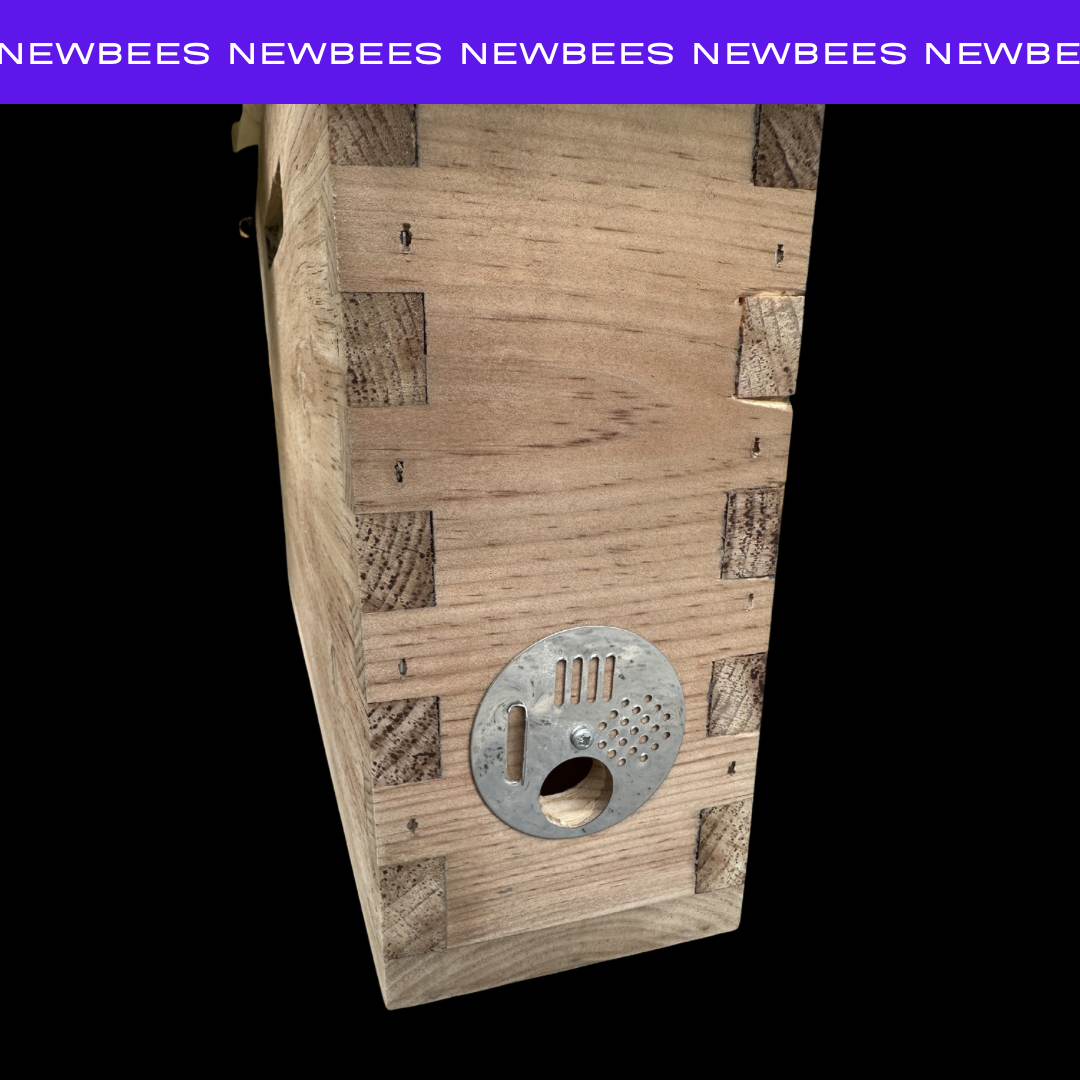 Bearsville Bees 2 Frame Mating Nuc