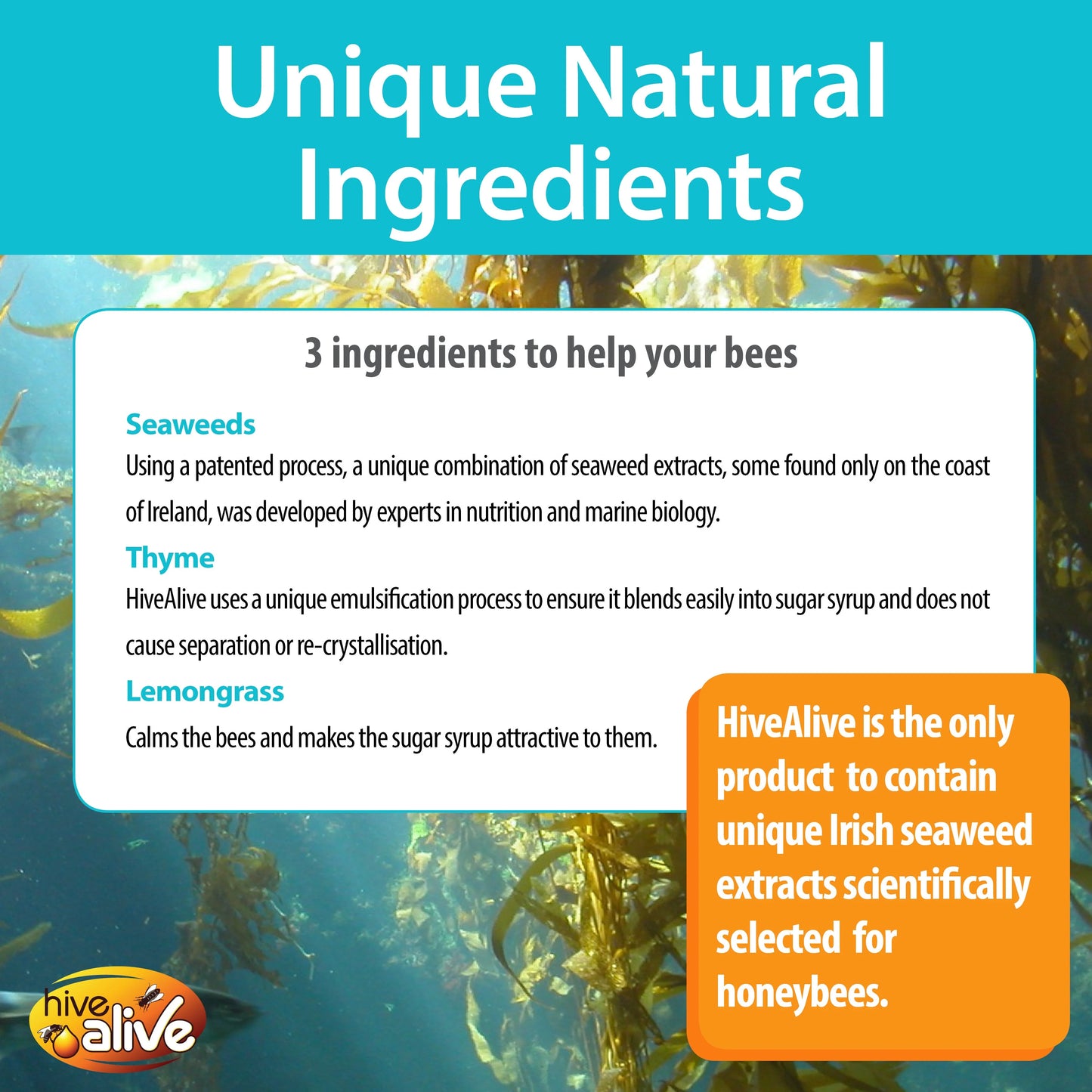 HIVEALIVE CONCENTRATE