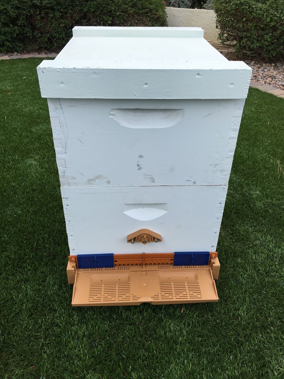 10 Frame Screen Bottom Board With Pollen Trap (NBS)