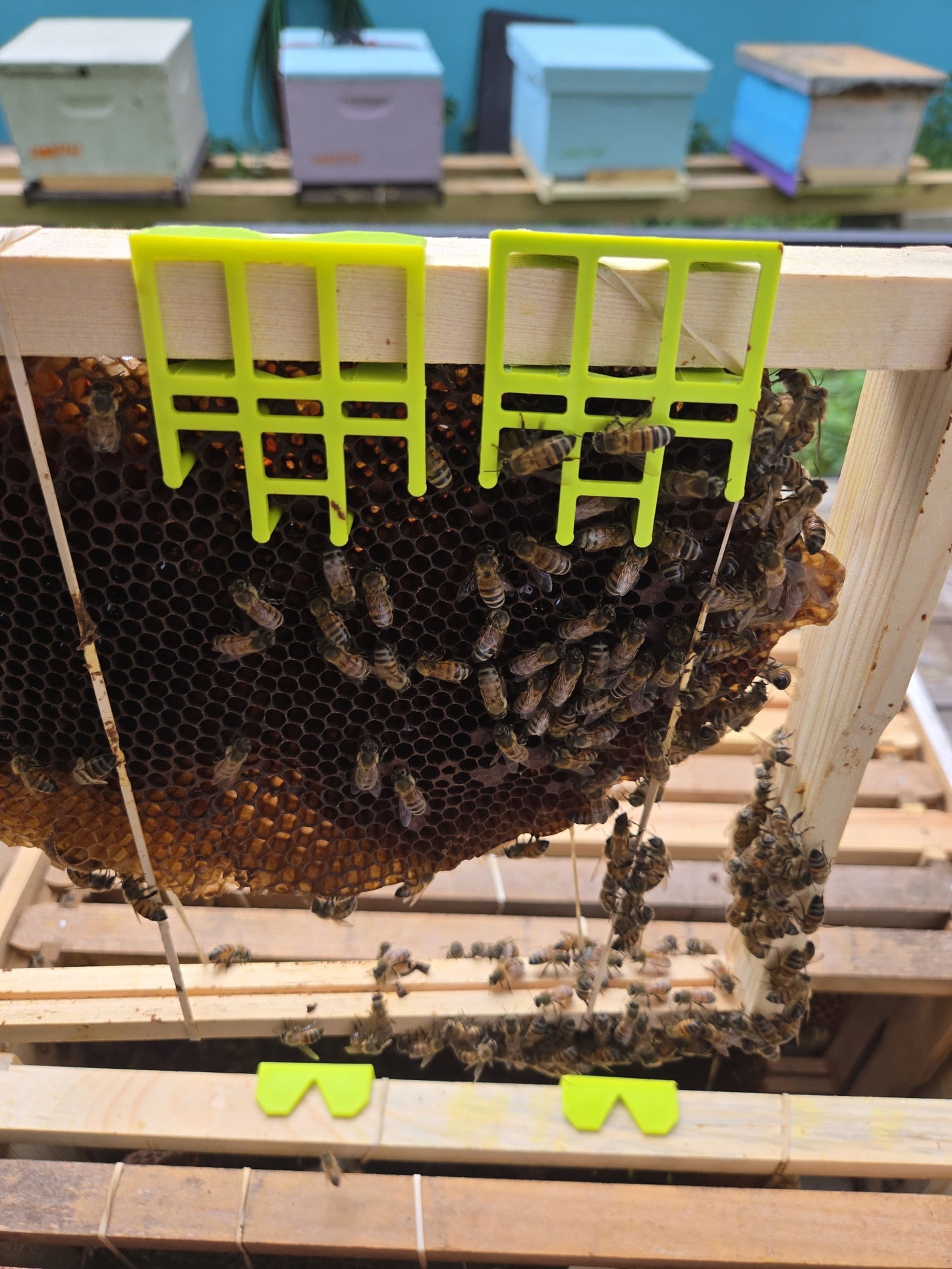 Comb Keeper: Comb Recovery Tool