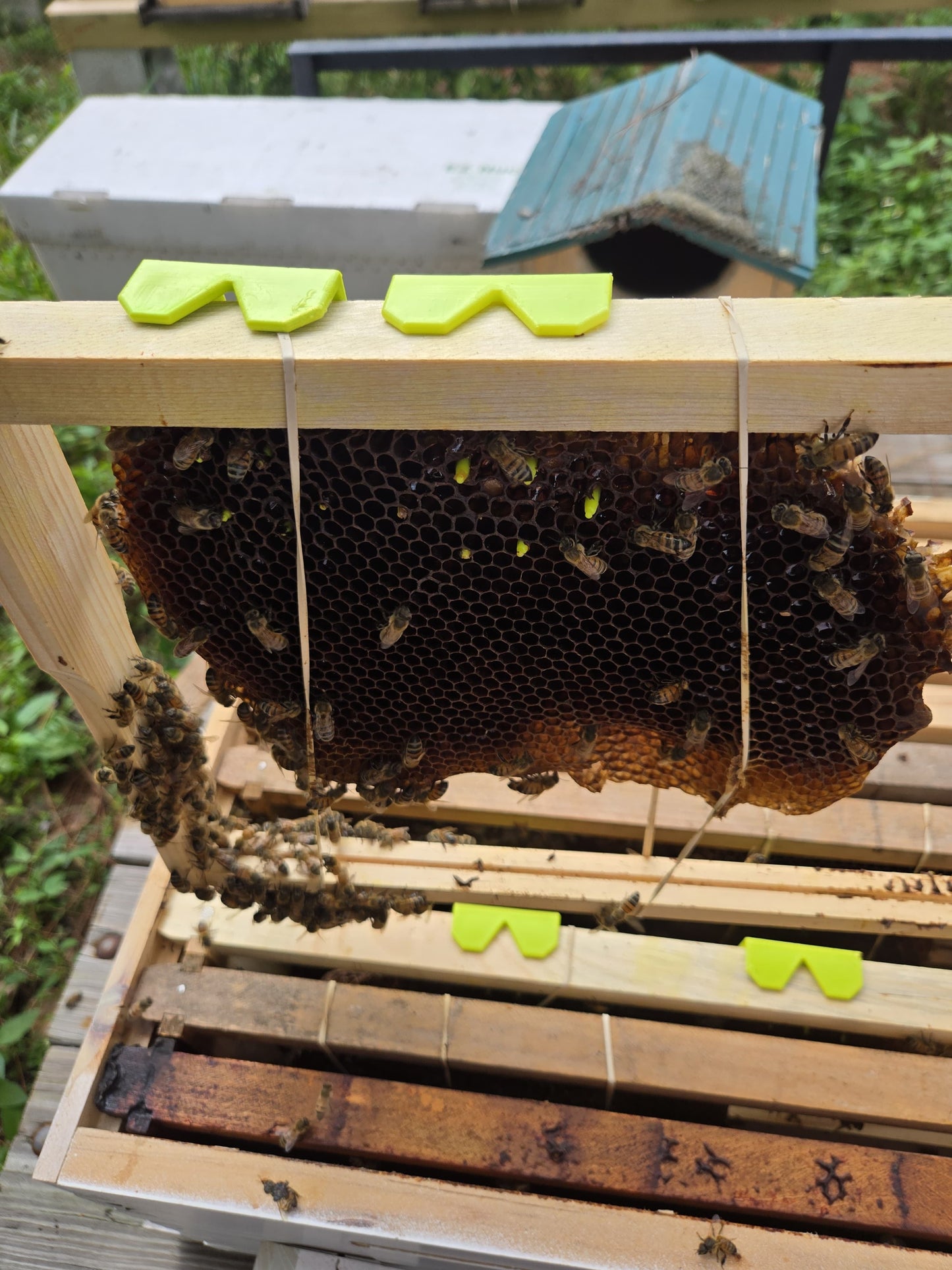 Comb Keeper: Comb Recovery Tool