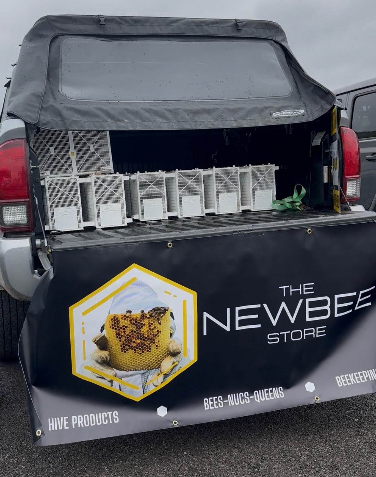 Package Bees (RHBA Purebred Russian)