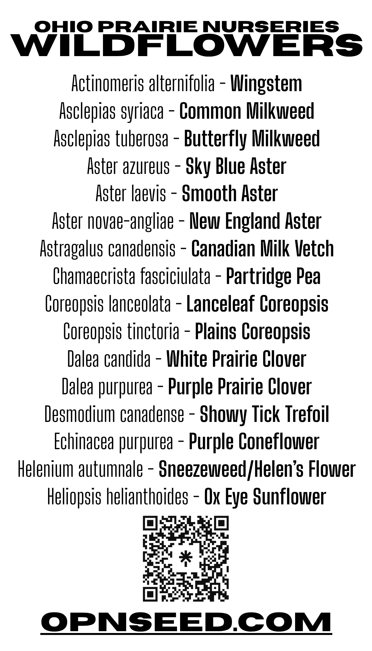 Pollinator Patch Seed Packet