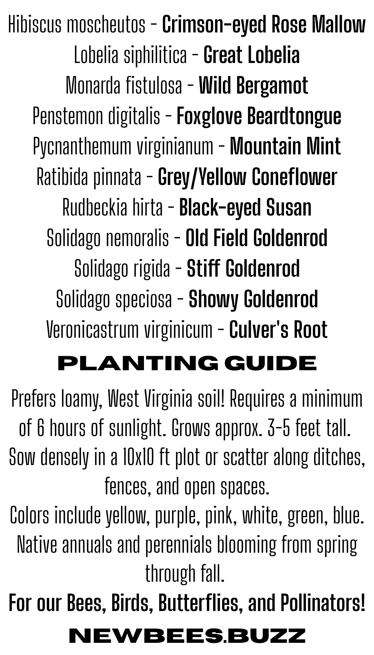 Pollinator Patch Seed Packet